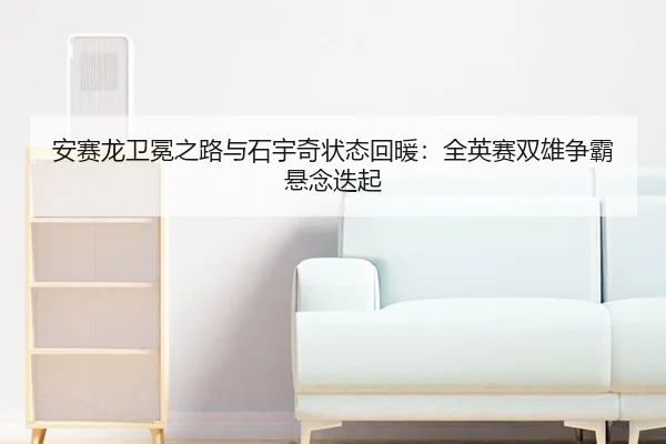 an-sai-long-wei-mian-zhi-lu-yu-shi-yu-qi-zhuang-tai-hui-nuan-quan-ying-sai-shuang-xiong-zheng-ba-xuan-nian-die-qi-3-442.jpg