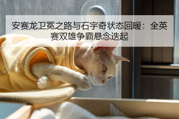 安赛龙卫冕之路与石宇奇状态回暖：全英赛双雄争霸悬念迭起